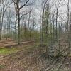 Mobile Home for Sale: Mobile Home