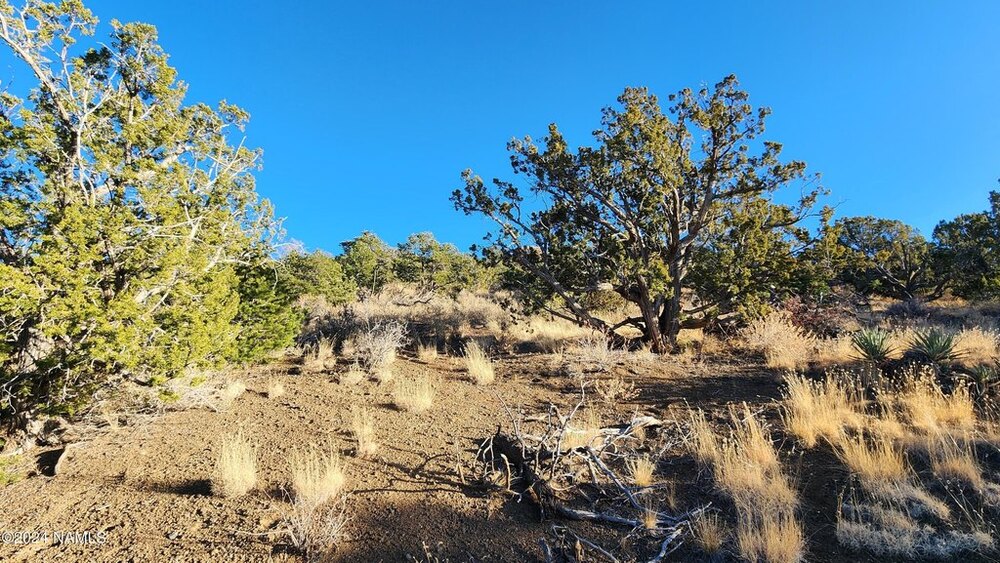 Photo of Mobile Home Lot