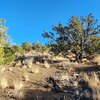 Photo of Mobile Home Lot