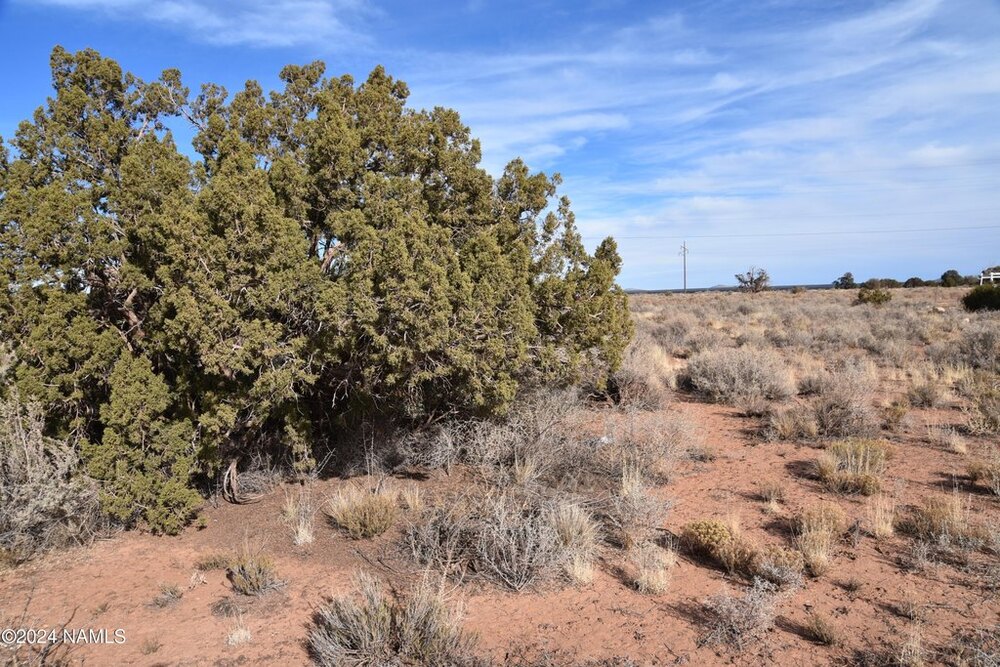 Photo of Mobile Home Lot