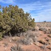 Photo of Mobile Home Lot