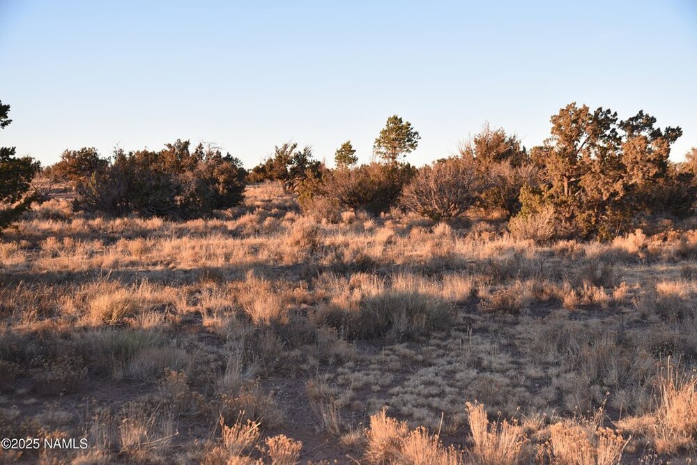Photo of Mobile Home Lot