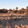 Photo of Mobile Home Lot
