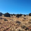 Mobile Home Lot for Sale: Residential/Mobile - Williams, AZ, Williams, AZ