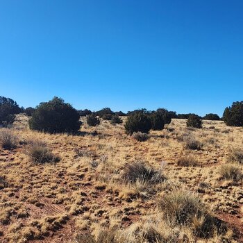 Photo of Mobile Home Lot