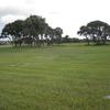 Excess Land for Development