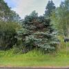 Mobile Home for Sale: 4 Bed 3 Bath 2000 Mobile Home