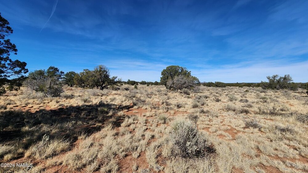 Photo of Mobile Home Lot