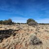 Photo of Mobile Home Lot