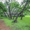 Mobile Home for Sale: Manufactured Home - Chandler, TX, Chandler, TX
