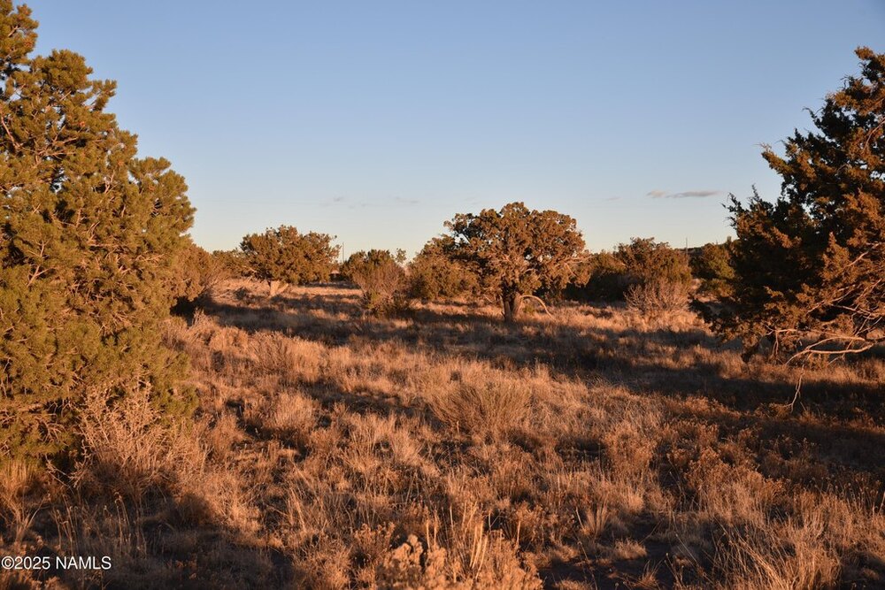 Photo of Mobile Home Lot