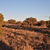 Photo of Mobile Home Lot