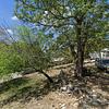 Mobile Home for Sale: 3 Bed 2 Bath 1999 Mobile Home