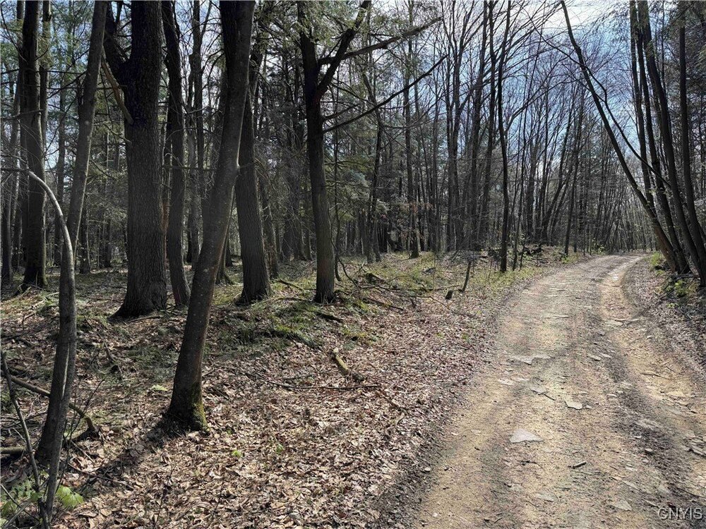 Photo of Mobile Home Lot
