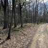 Photo of Mobile Home Lot