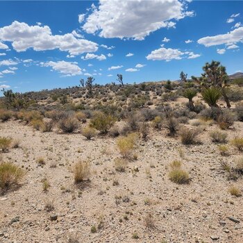 Thumbnail of mobile home lot