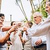 cheers mature party tropical