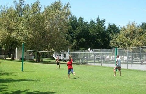 volleyball in summer