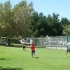 volleyball in summer
