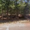 Mobile Home for Sale: 1975 Mobile Home