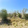 Mobile Home for Sale: 3 Bed 2 Bath 1999 Mobile Home