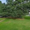 Mobile Home for Sale: 1988 Mobile Home
