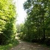 Mobile Home Lot for Sale: AL, KELLYTON - Land for sale., Kellyton, AL