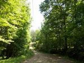Photo of Mobile Home Lot