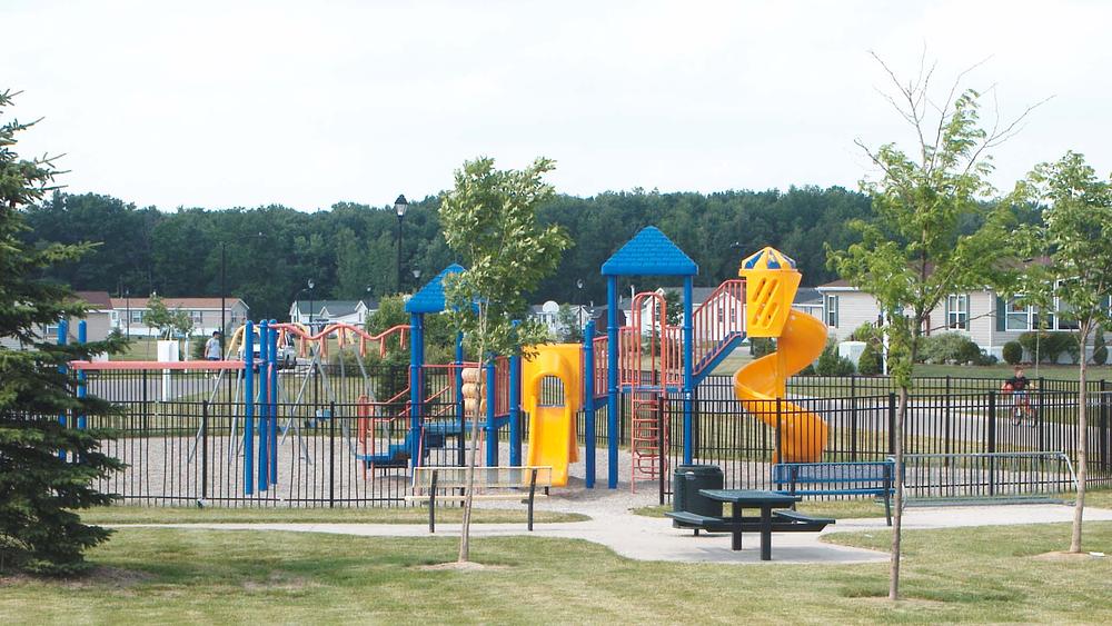 Community Image