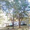 Mobile Home for Sale: 3 Bed 2 Bath 1995 Mobile Home