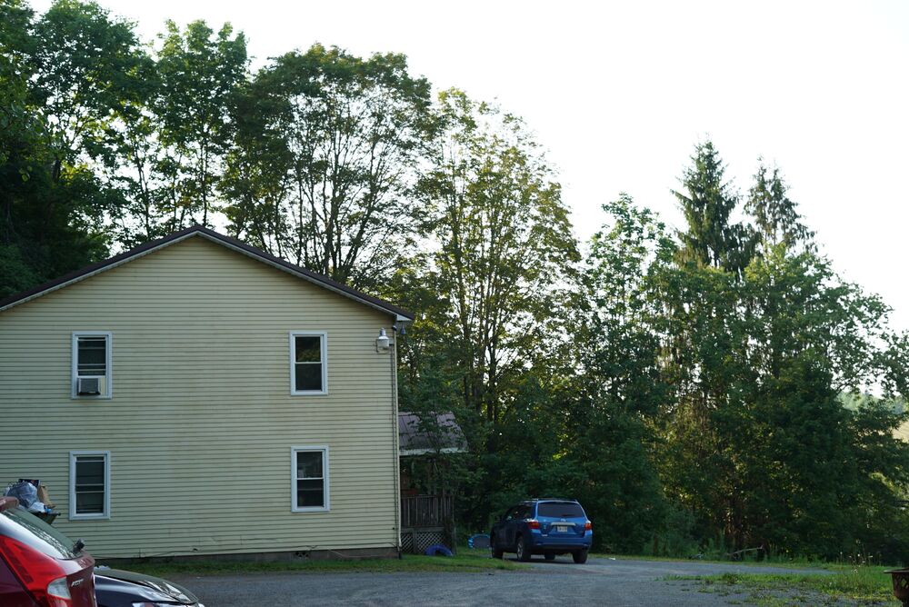 Photo 7
