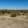 Photo of Mobile Home Lot