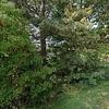 Mobile Home for Sale: 3 Bed 2 Bath 1999 Mobile Home