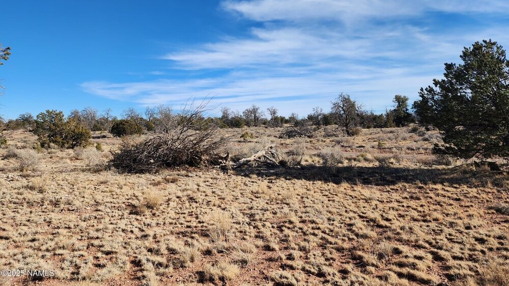 Photo of Mobile Home Lot
