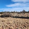 Photo of Mobile Home Lot