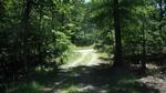 Photo of Mobile Home Lot
