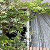 Mobile Home for Sale: 1982 Mobile Home