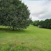 Mobile Home for Sale: 2003 Mobile Home