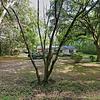 Mobile Home for Sale: 3 Bed 2 Bath Mobile Home