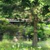 Mobile Home for Sale: 3 Bed 2 Bath 1991 Mobile Home