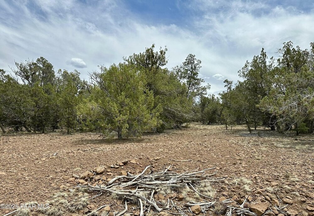 Photo of Mobile Home Lot