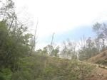 Photo of Mobile Home Lot
