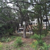 Photo of RV Lot