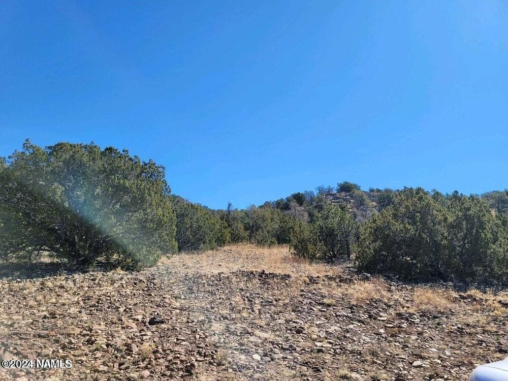 Photo of Mobile Home Lot