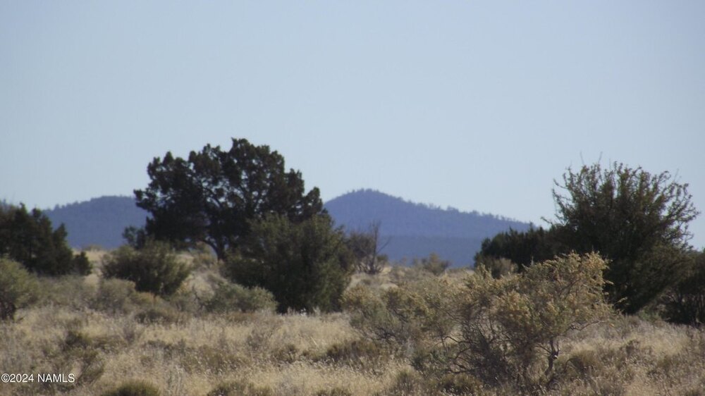 Photo of Mobile Home Lot