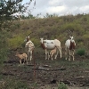 Photo of RV Park/Campground