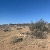 Photo of Mobile Home Lot