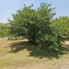 Mobile Home for Sale: 3 Bed 2 Bath 2013 Mobile Home