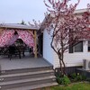 Mobile Home for Sale: 3 Bed 1 Bath 1997 Mobile Home