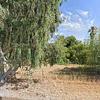 Mobile Home for Sale: 1 Bed 1 Bath 1979 Mobile Home